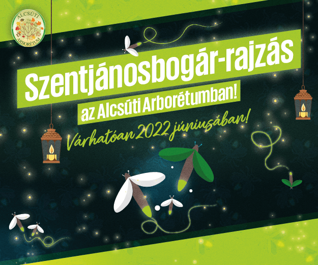 Séta a szentjánosbogarak fényében