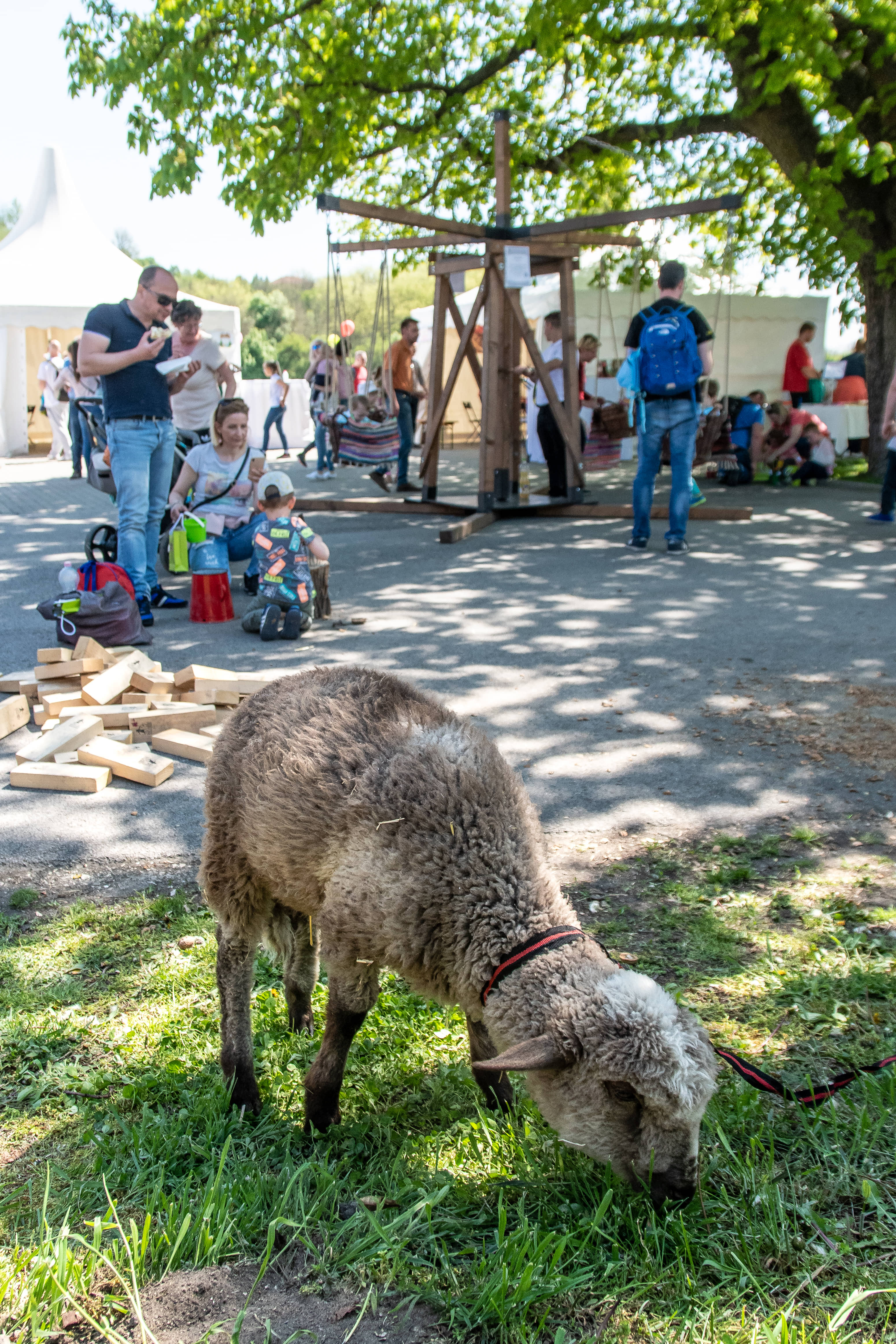 III.HÚSVÉTI TOJÁSKERESŐ