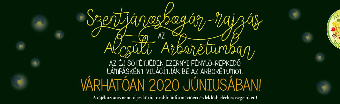 Irány a Szentjánosbogár-rajzás a Vál-völgyi Kisvasúttal