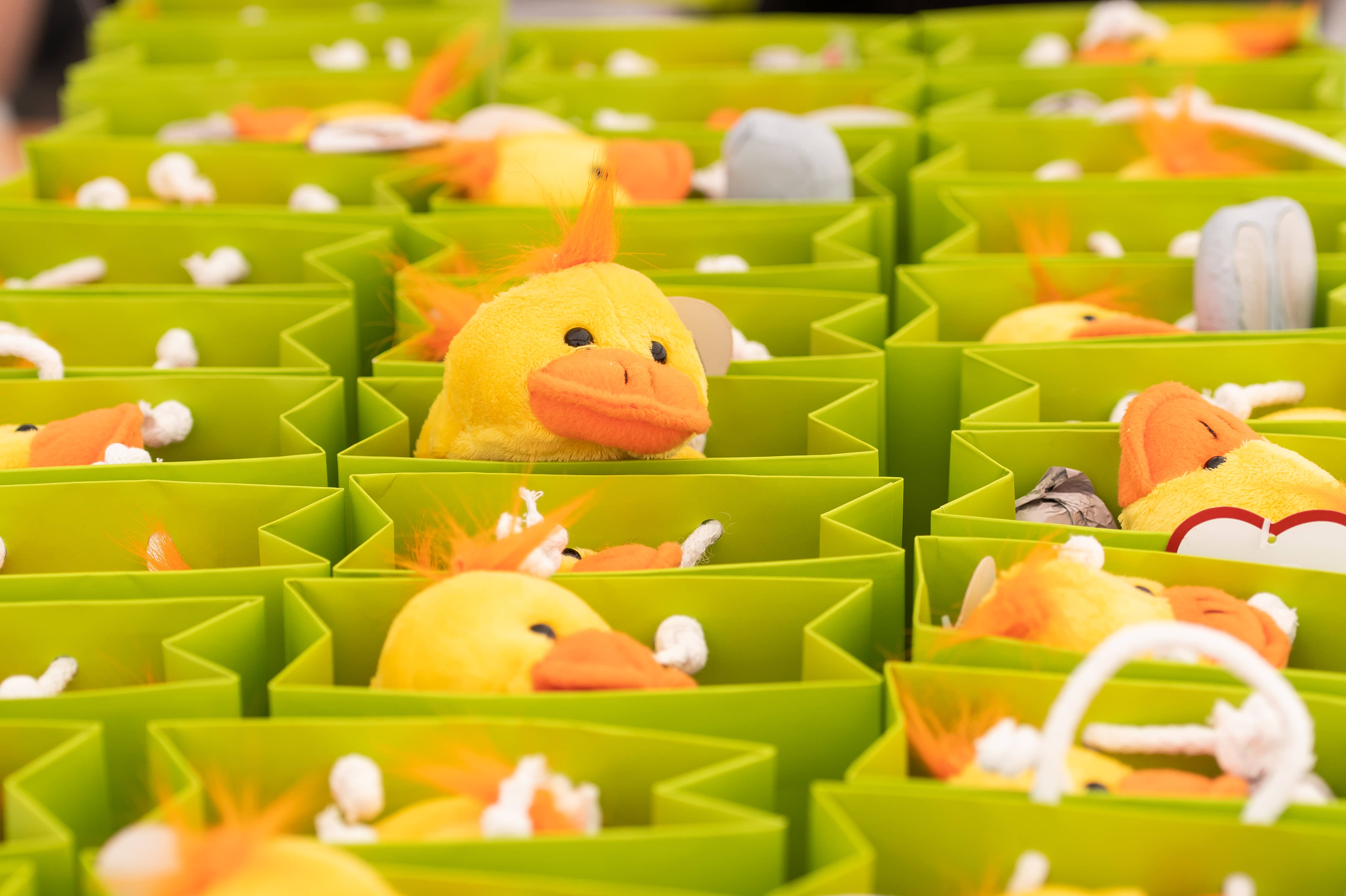 III.HÚSVÉTI TOJÁSKERESŐ