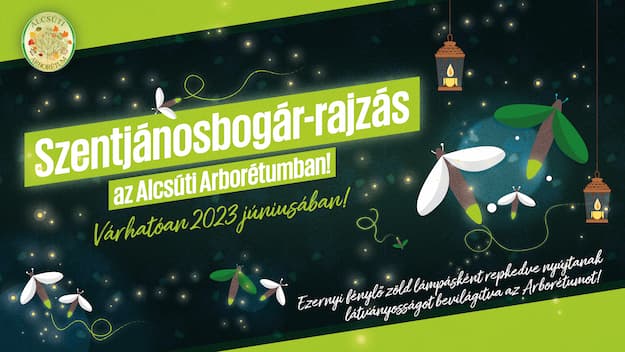 Szentjánosbogár-rajzás az Alcsúti Arborétumban